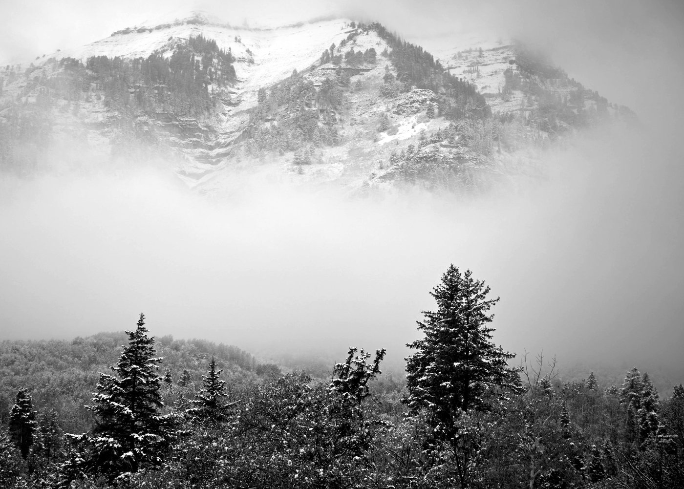 A snowy mountain in mist above dark pines, in black and white